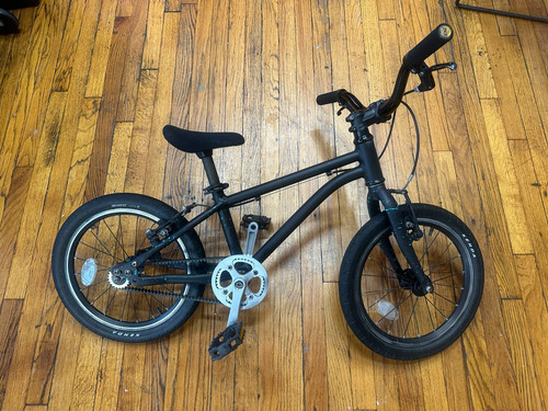 Early rider custom painted - custom,